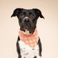 Stevie Dog Bandana