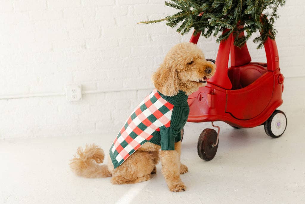 Rosy Plaid Dog Sweater