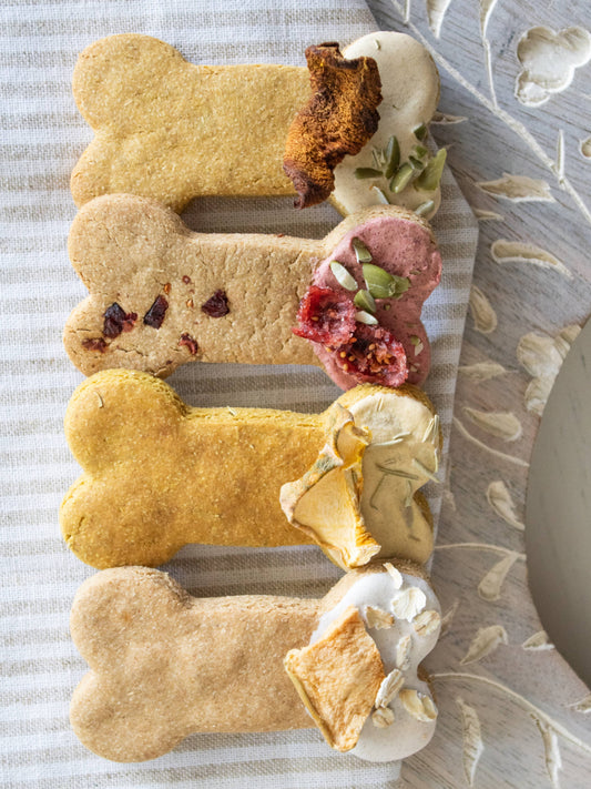 Fall Bone Box for Dogs - Fall Dog Treats