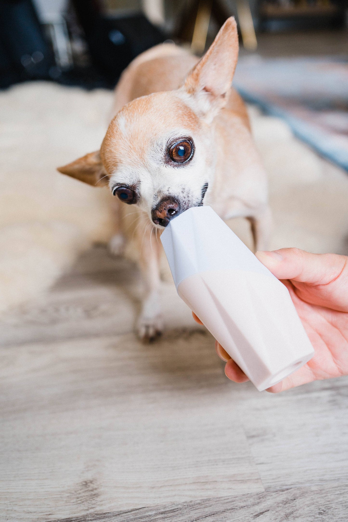 Modern Treat Filler/Stuffer Toy for Dogs - The Ubbe