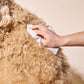 So Fresh, So Clean Probiotic Dog Wipes