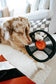 Record Dog Enrichment Toy