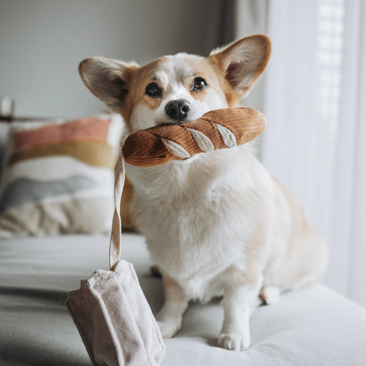 Mini Baguette Dog Enrichment Toy