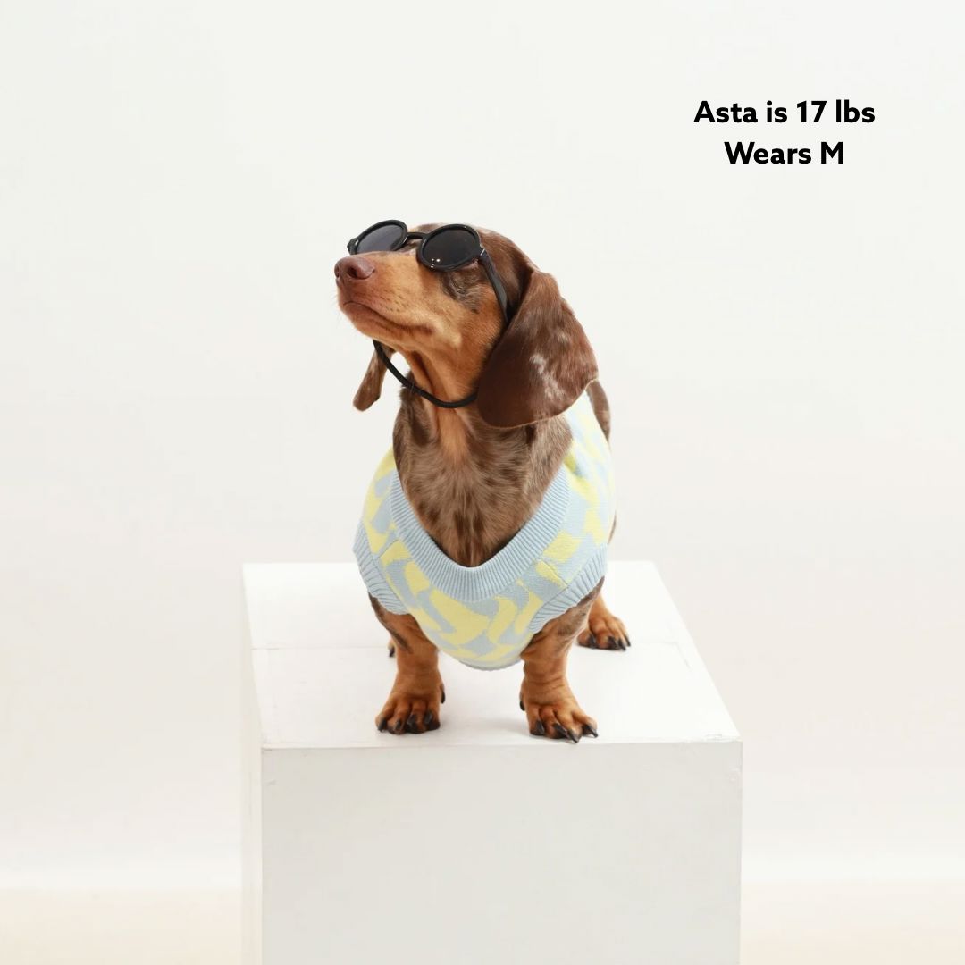 Seaside Swirl Cotton Knitted Dog Vest