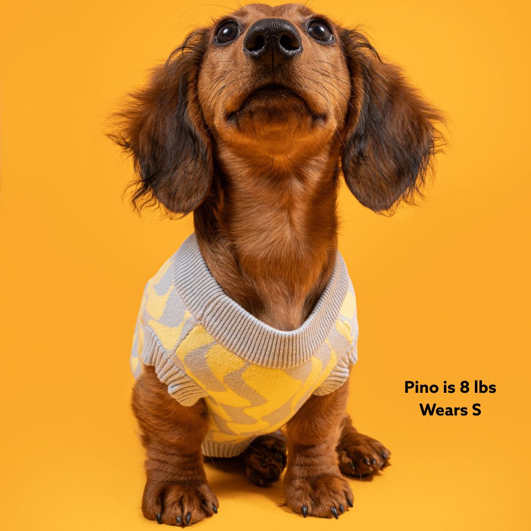 Seaside Swirl Cotton Knitted Dog Vest