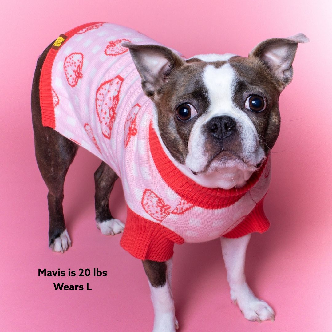 Strawberry Knitted Dog Sweater