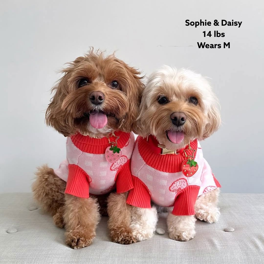 Strawberry Knitted Dog Sweater