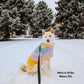 Wavy Knitted Dog Sweater